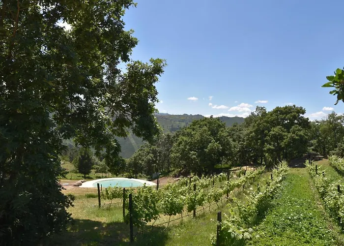 Quinta De S. Cipriano