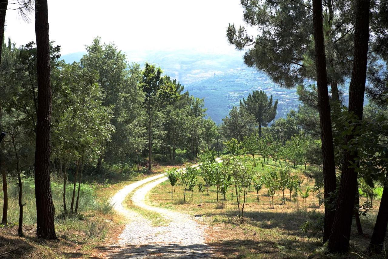 Hébergement de vacances Quinta De S. Cipriano *