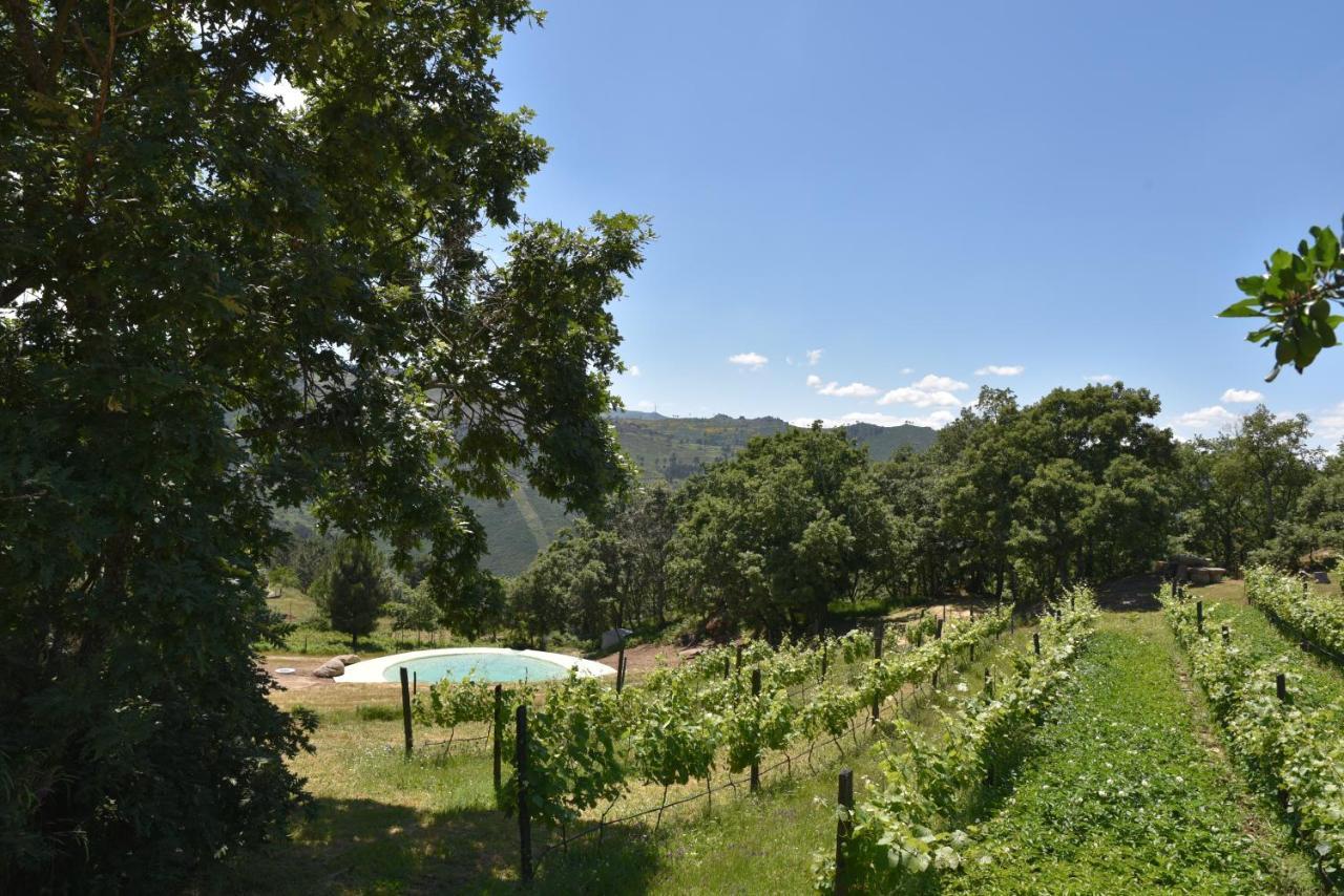 Hébergement de vacances Quinta De S. Cipriano *